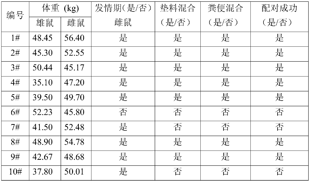 A kind of method for breeding and pairing of naked mole rats