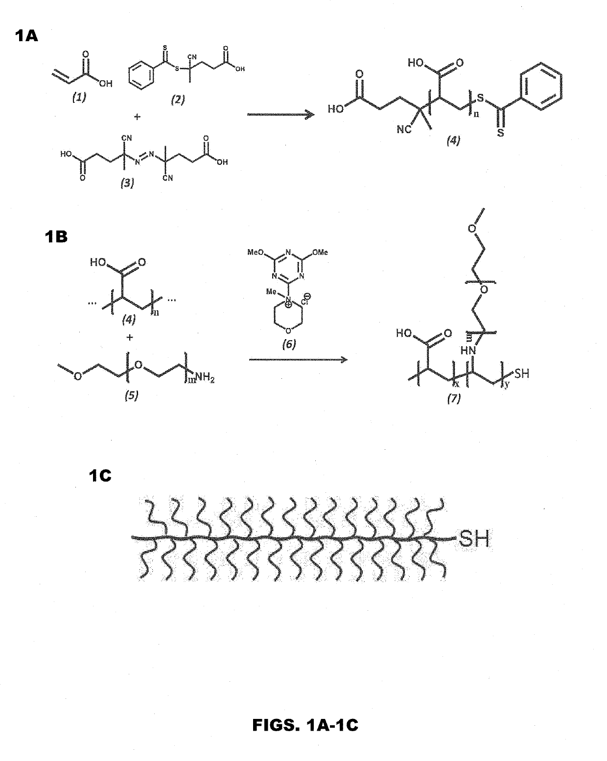 Biomimetic boundary lubricants for articular cartilage