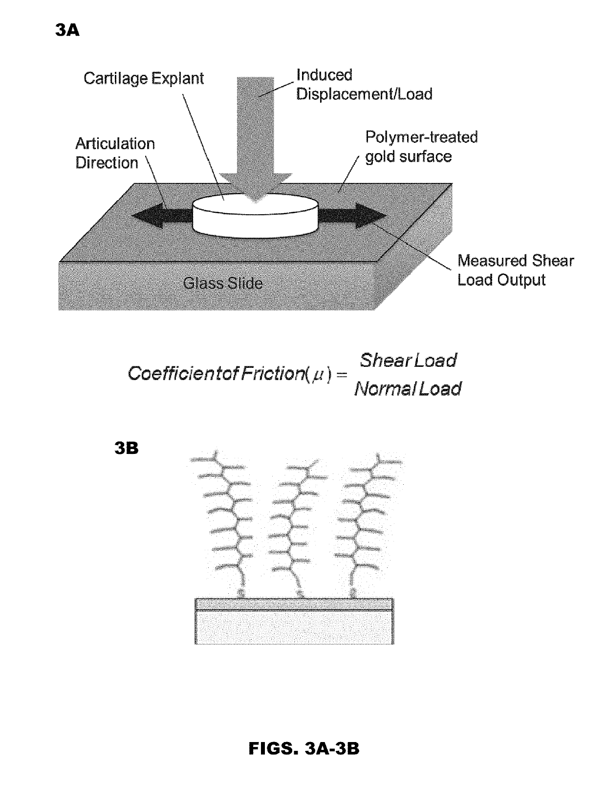 Biomimetic boundary lubricants for articular cartilage