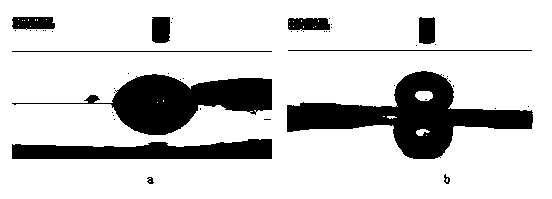 Hydrophobic nano composite automobile finish and preparation method thereof