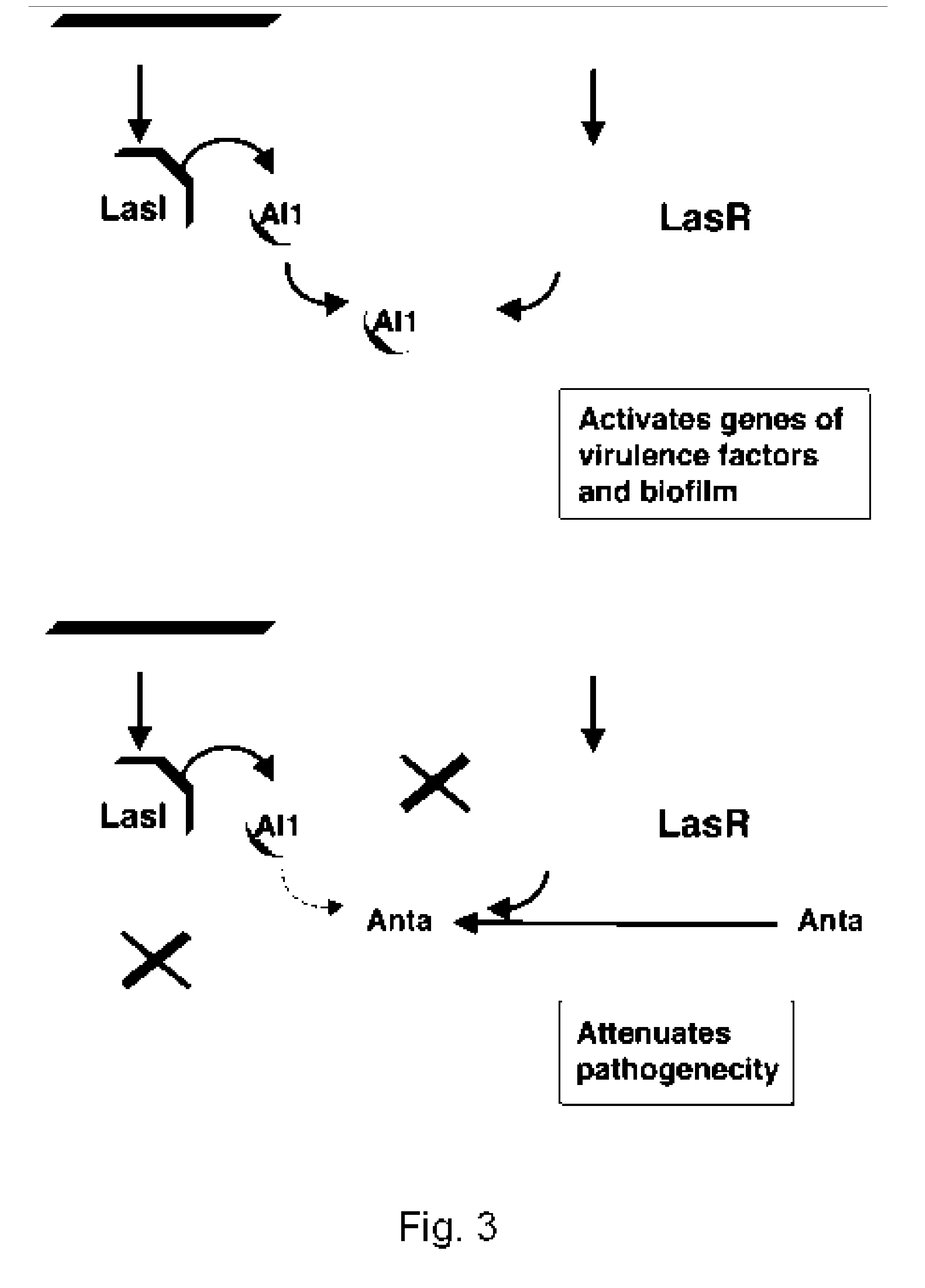 Method for modulating microbial quorum sensing