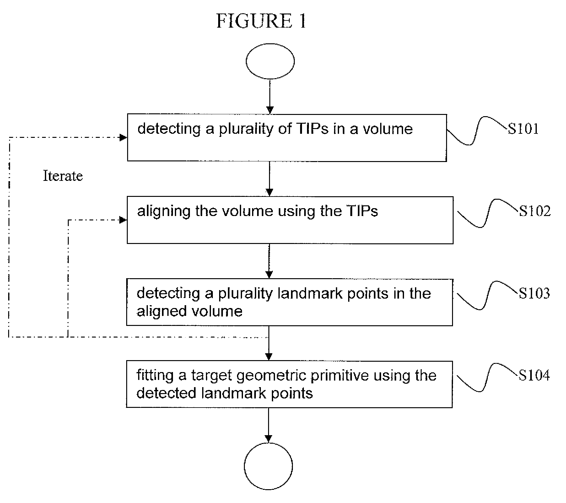 Anatomical primitive detection