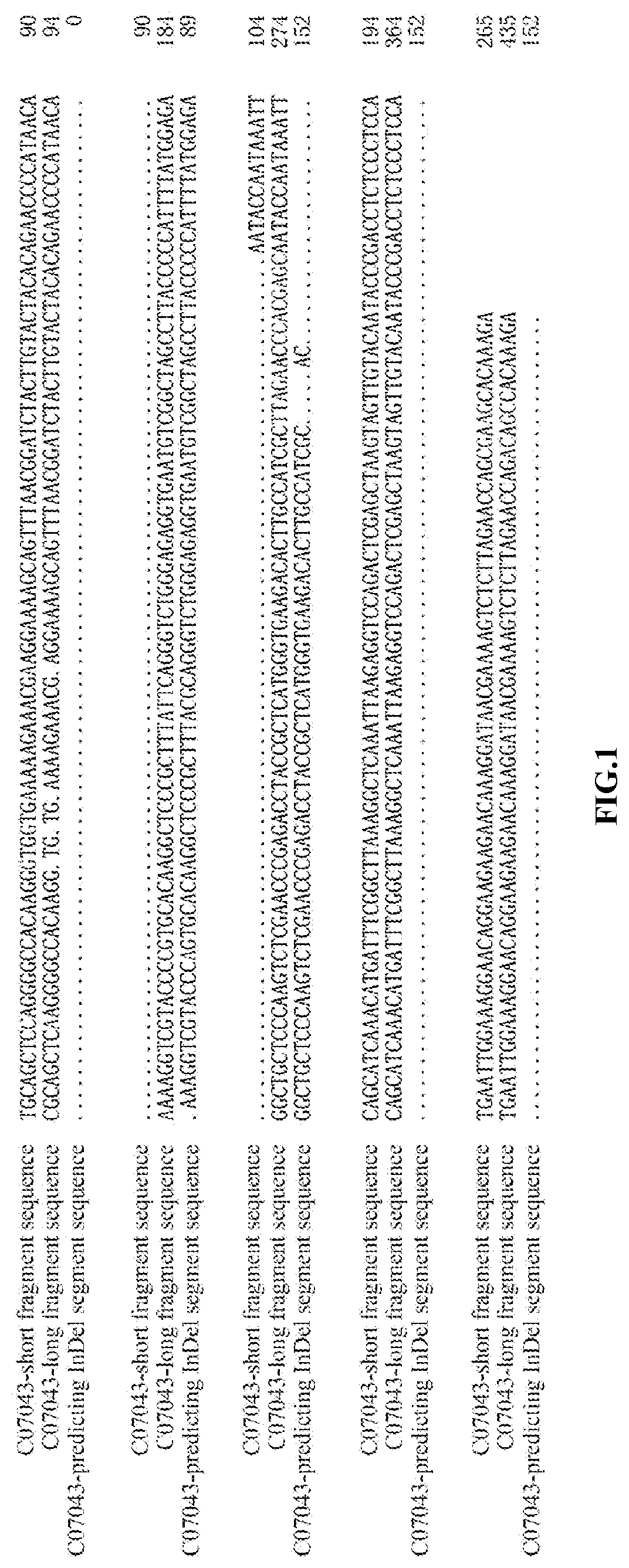 Indel marker genotype database of malus and use in identity fingerprinting of germplasm resources