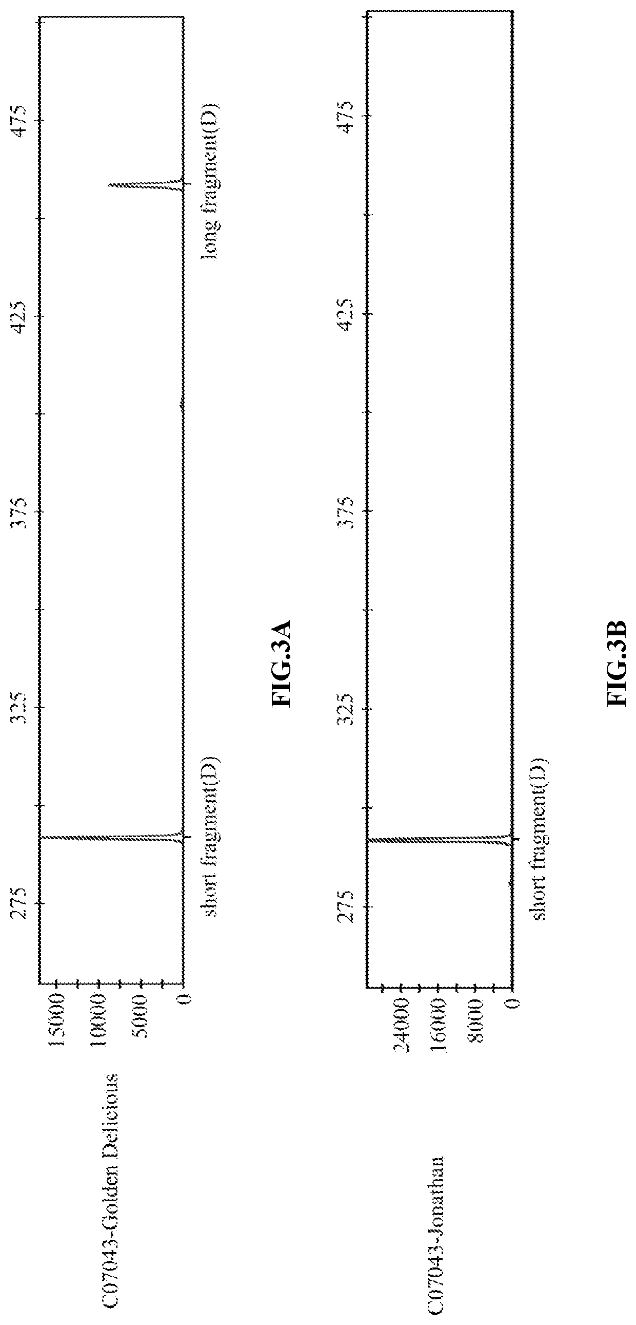 Indel marker genotype database of malus and use in identity fingerprinting of germplasm resources