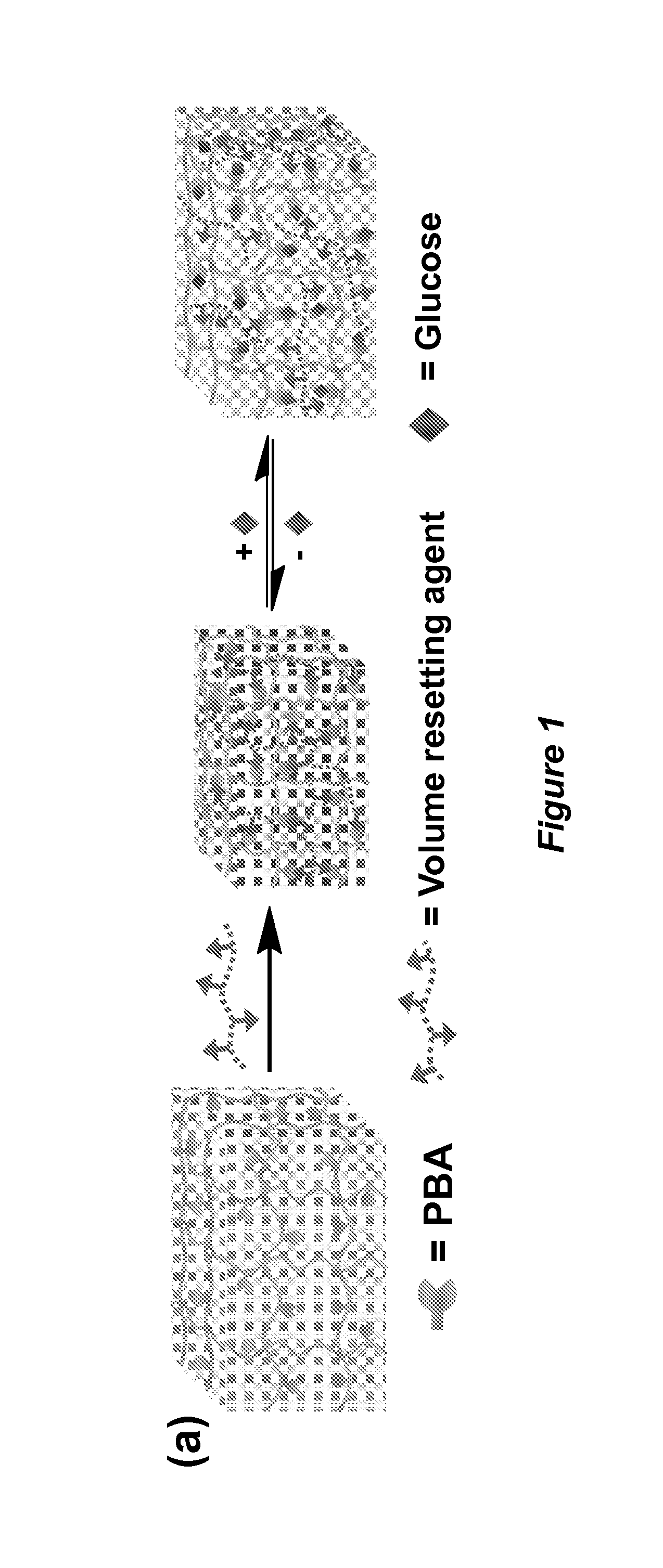 Volume response sensors having analyte controlled reversible crosslinking