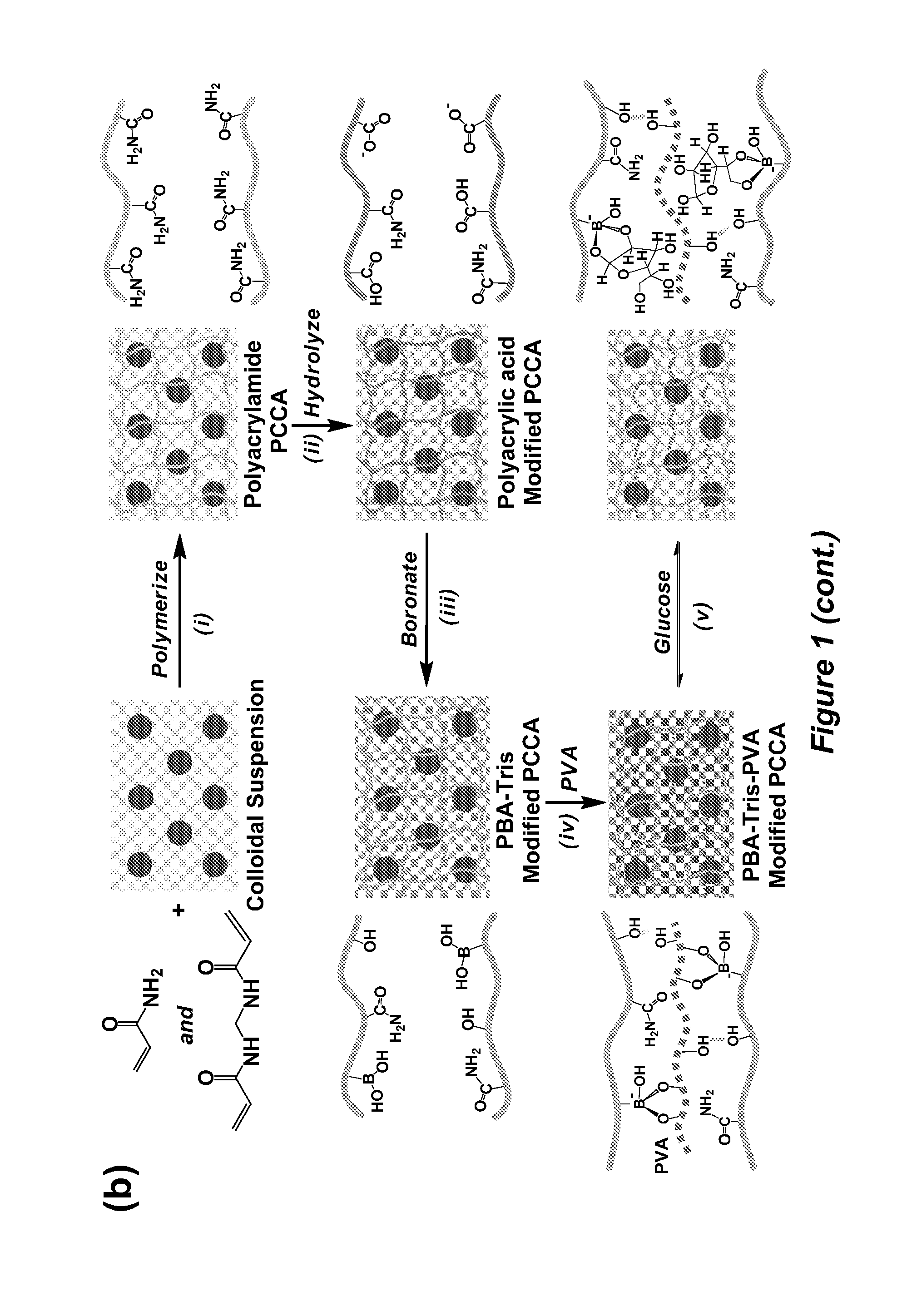 Volume response sensors having analyte controlled reversible crosslinking