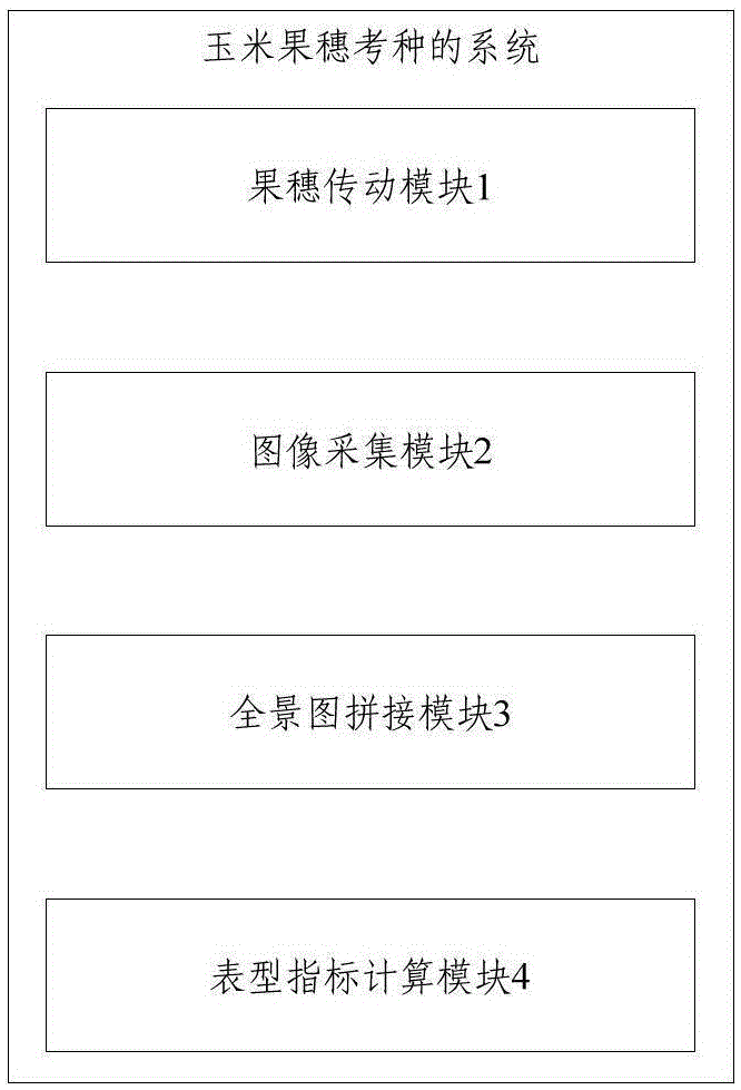 Method and system for corn ear seed test