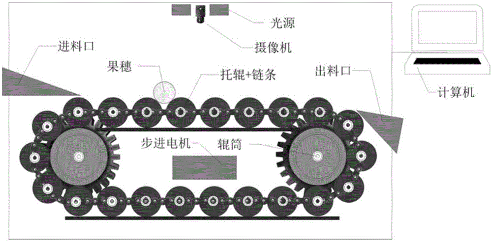 Method and system for corn ear seed test