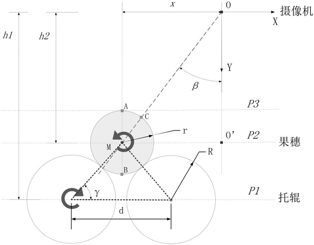 Method and system for corn ear seed test