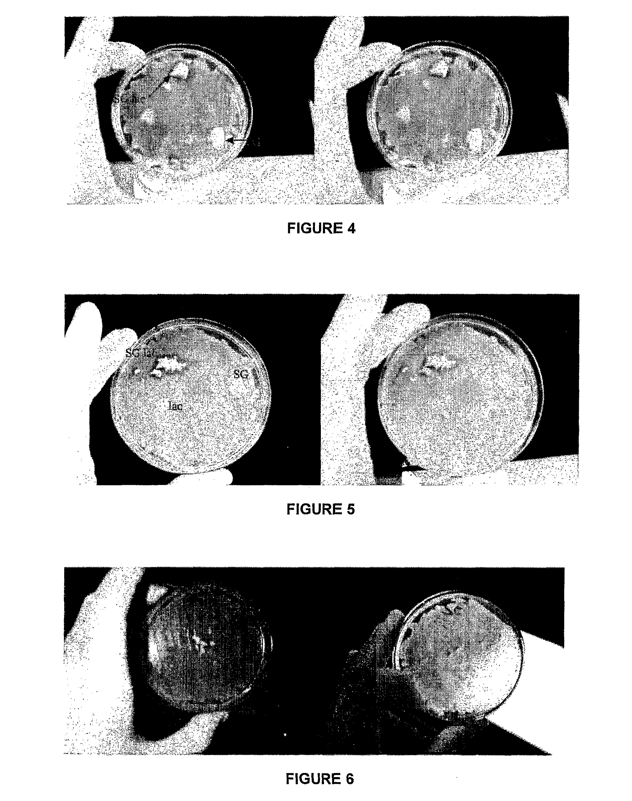 Composite material