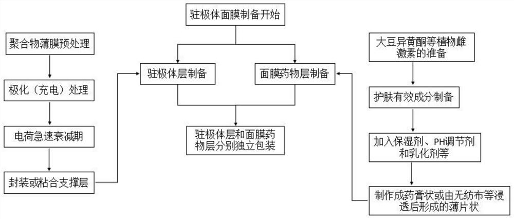 Electret facial mask for promoting absorption of phytoestrogen, and preparation method thereof