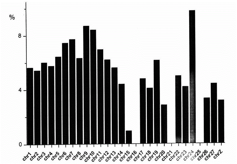 Identification method of chicken salmonella enteritidis inflection methylation regulatory gene