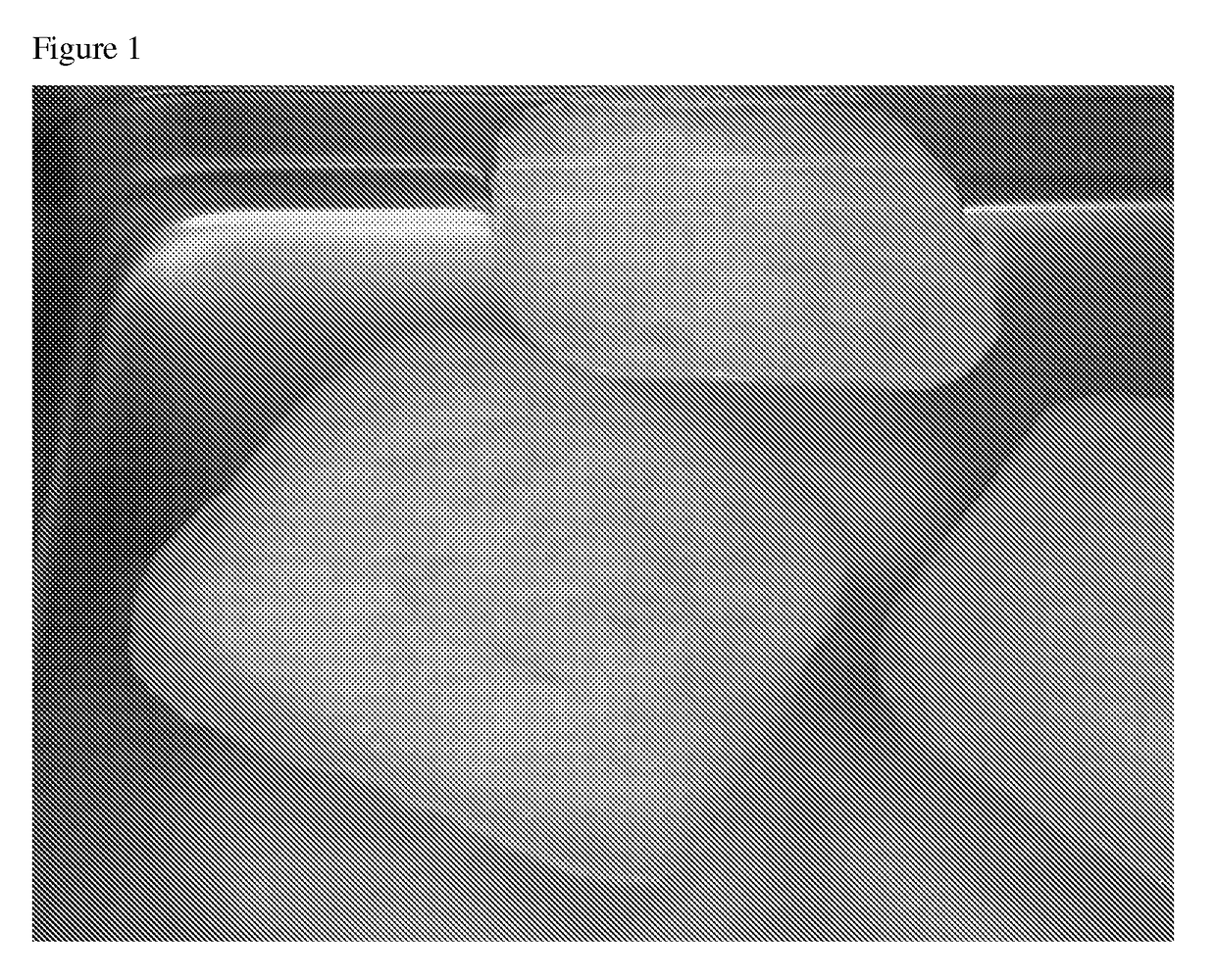 Methods for producing a biodegradable chitosan composition and uses thereof