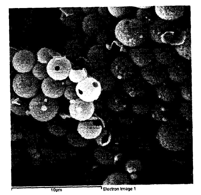 Hollow silicon dioxide microsphere with different surface configurations and preparation method thereof