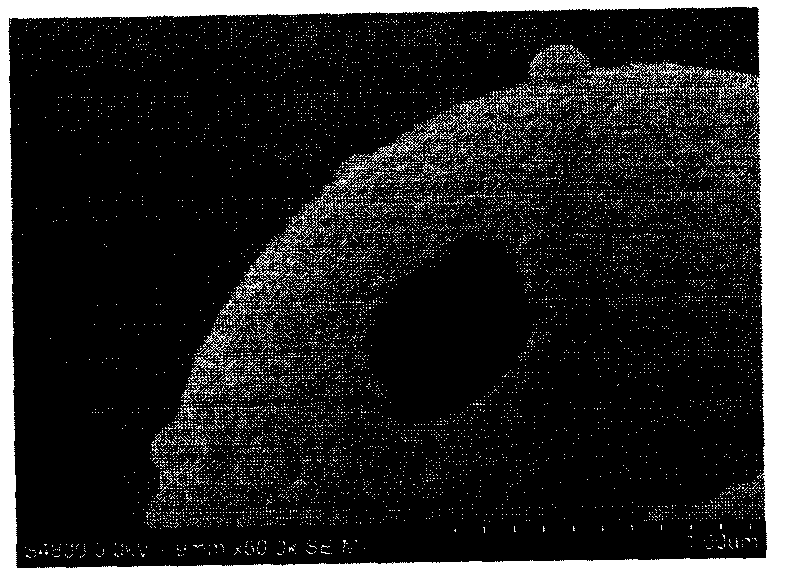 Hollow silicon dioxide microsphere with different surface configurations and preparation method thereof