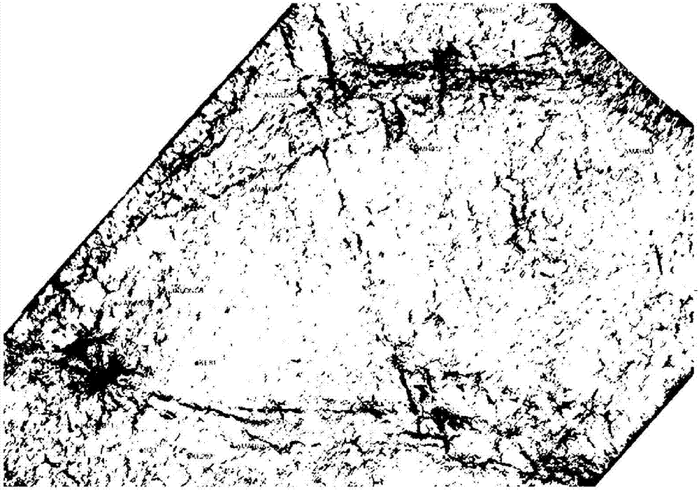 Method and device for fault identification of seismic data