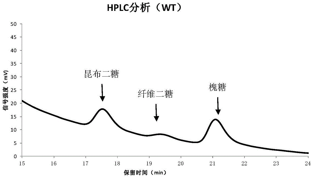 A modified β-glucosidase and its expression gene and application