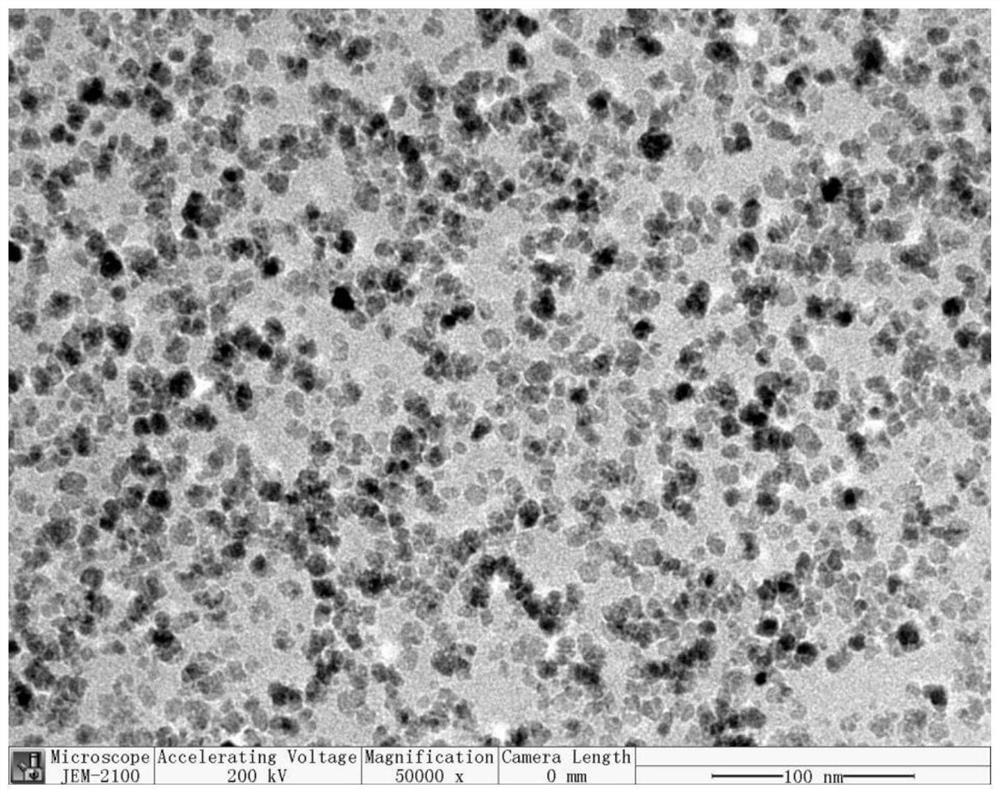 Anti-counterfeiting adhesive tape with magnetic response and biodegradation functions as well as preparation method and application of anti-counterfeiting adhesive tape