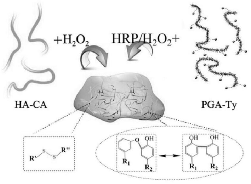 A kind of hydrogel of slow-release chlorine dioxide and preparation method thereof