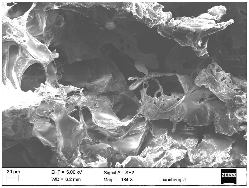 A kind of hydrogel of slow-release chlorine dioxide and preparation method thereof