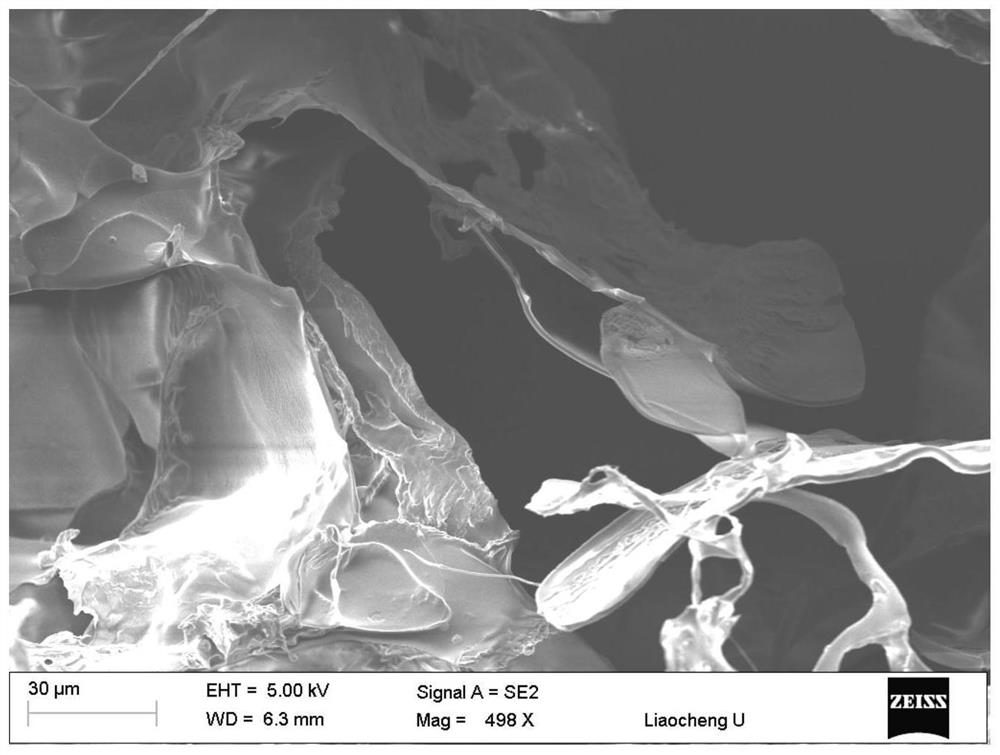 A kind of hydrogel of slow-release chlorine dioxide and preparation method thereof