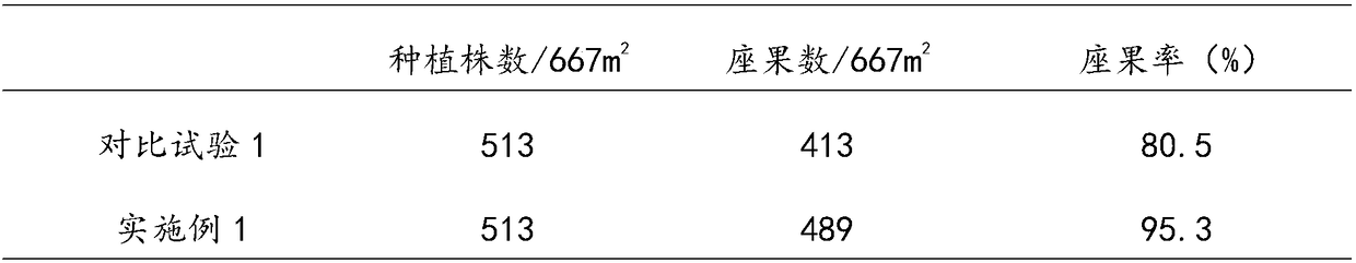 Ground growing and vertical frame type combined cultivation method for watermelons