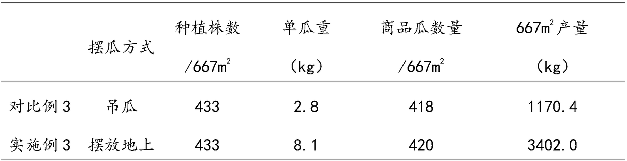 Ground growing and vertical frame type combined cultivation method for watermelons