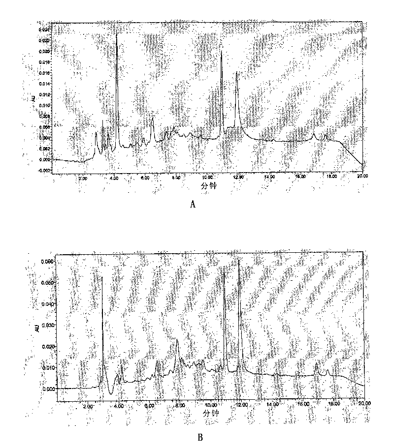 Extract from fruit shell of camellia oleifera abel and preparation method and application thereof