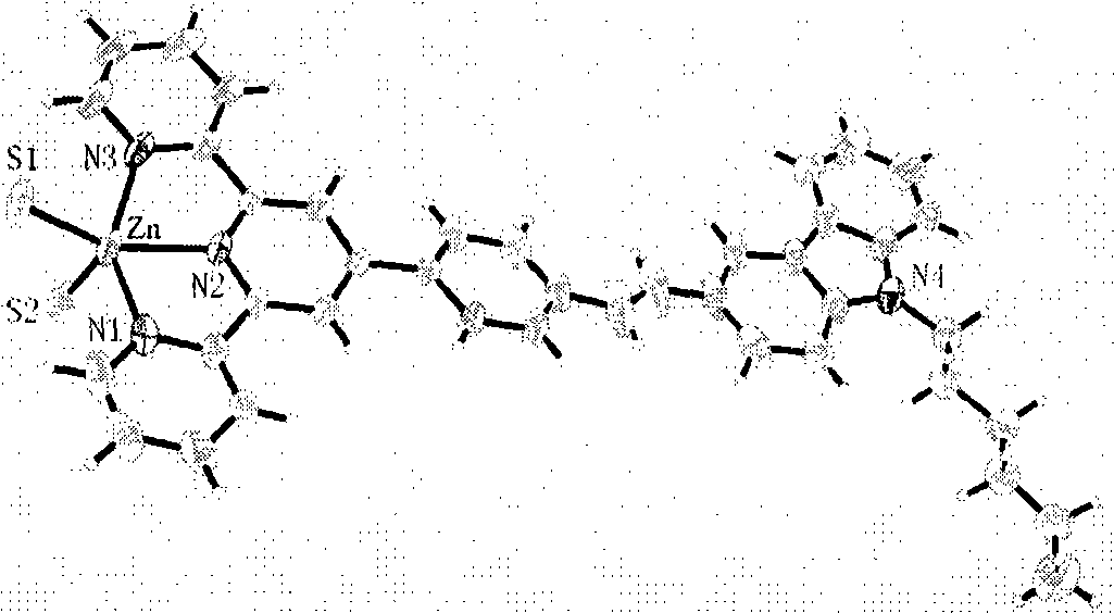 Terpyridyl complex two-photon material with cell development and preparation