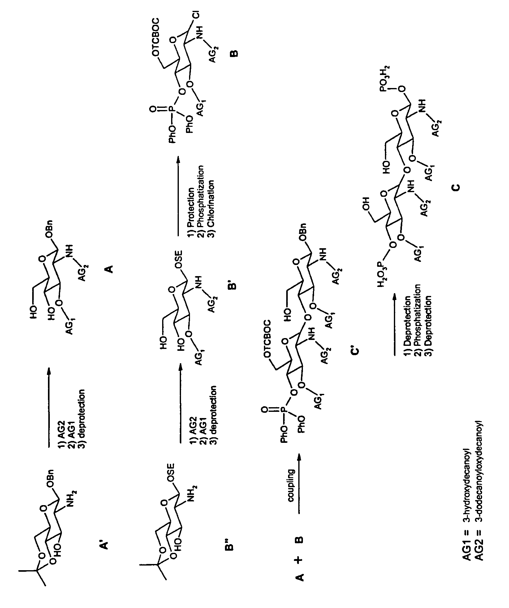 Lipid A-type compound and composition containing it