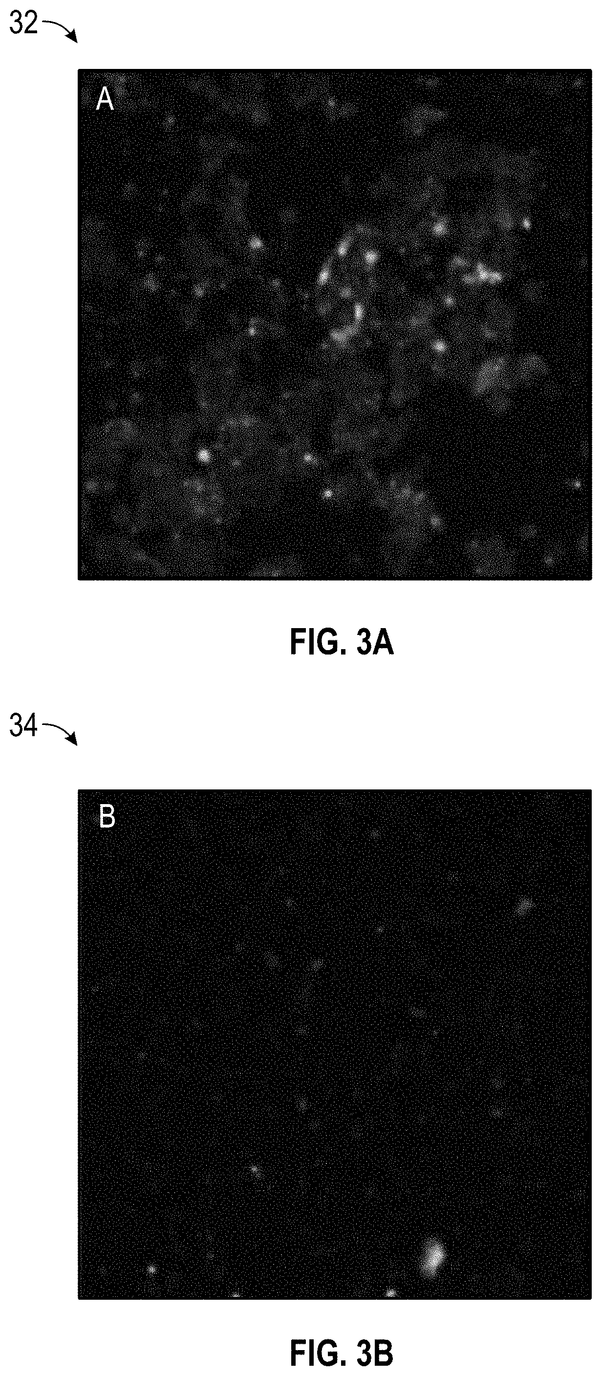 Molecular imprinting of West Nile antibodies with physiological pH matching