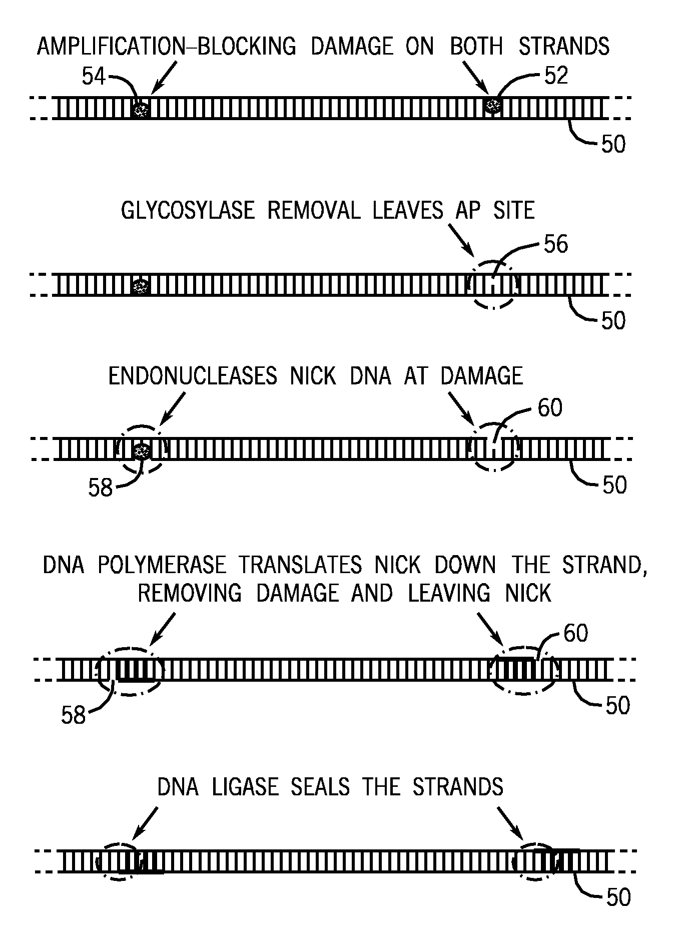 Method and Kits for Repairing Nucleic Acid Sequences