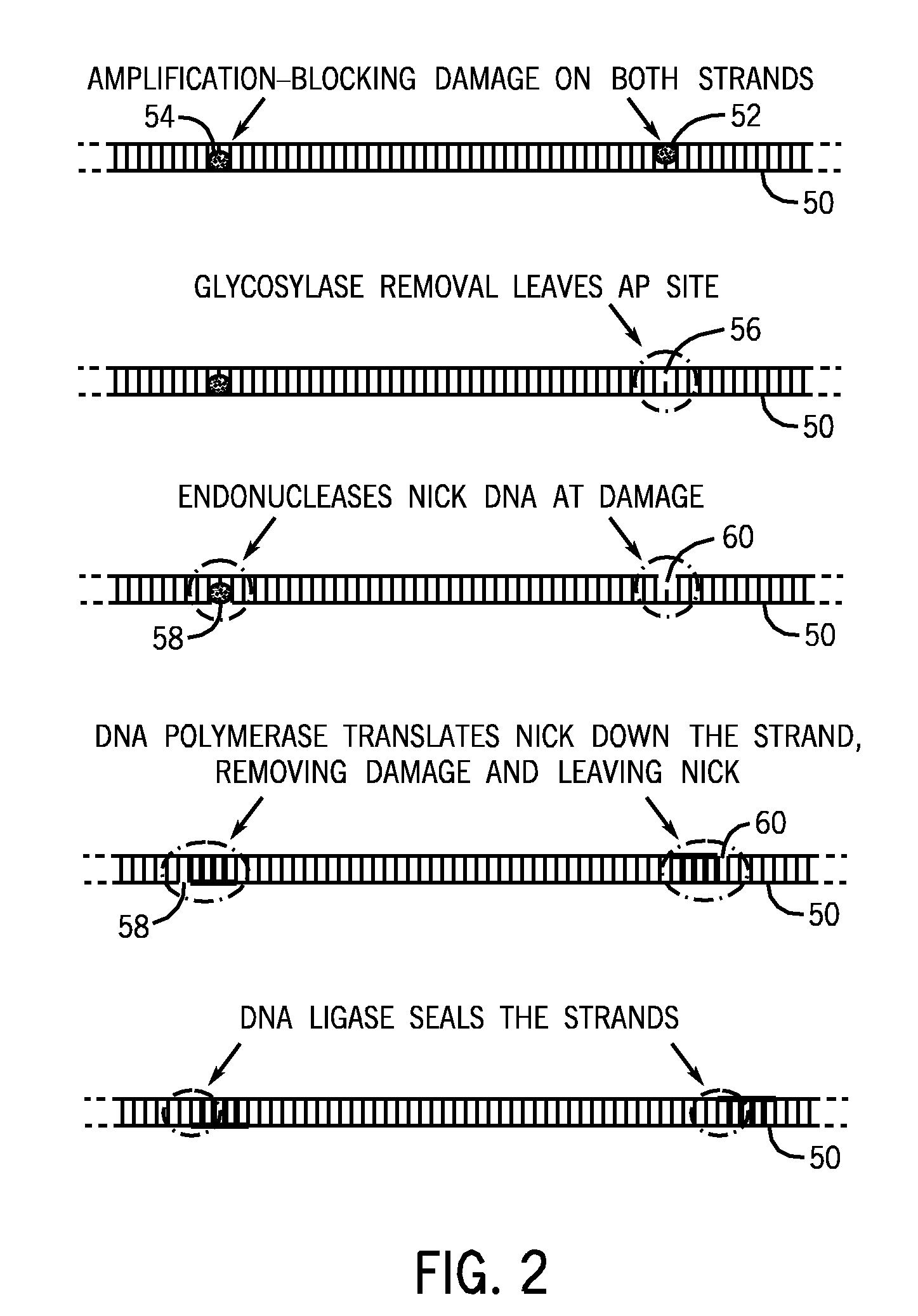 Method and Kits for Repairing Nucleic Acid Sequences