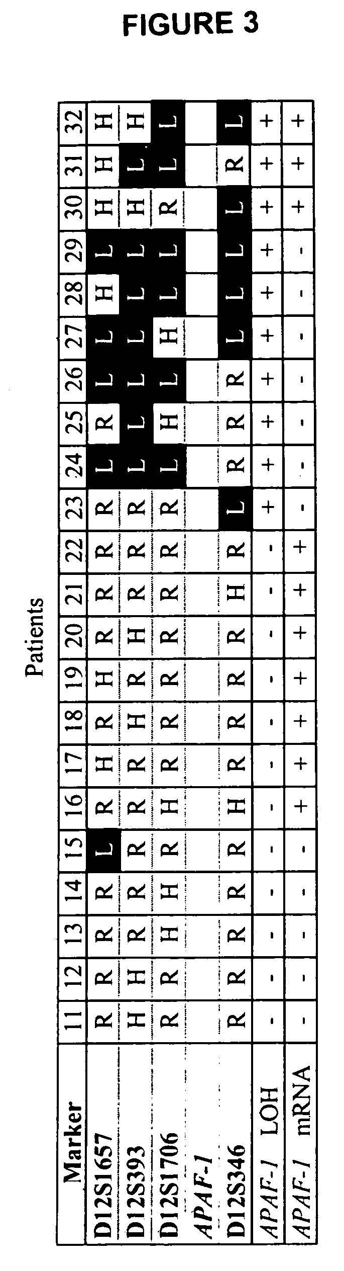 Loss of heterozygosity of the DNA markers in the 12q22-23 region