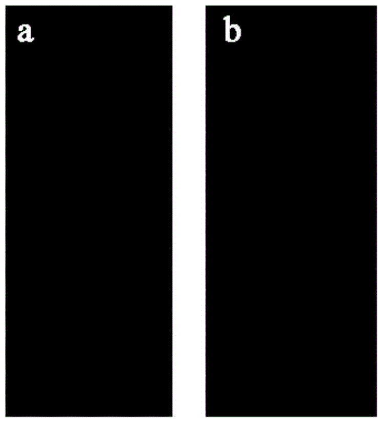 Preparation method and product of dendrimer-based microarray antibody chip