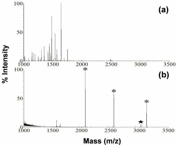 Magnetic mesoporous titanium dioxide core-shell type compound microsphere as well as preparation method and application thereof