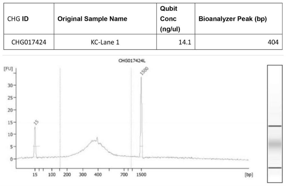 An Absolute Quantitative Transcriptome Library Construction Method Based on Unique Recognition Sequences