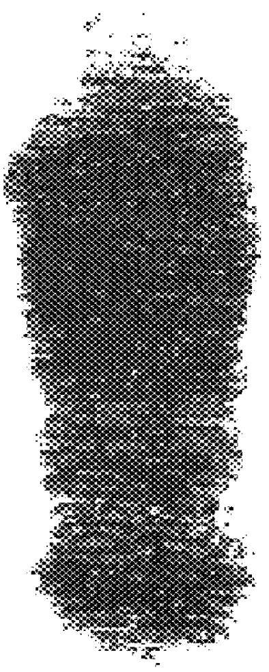 Human T-cell lymphotropic virus type II envelope protein and human monoclonal antibodies specific therefor