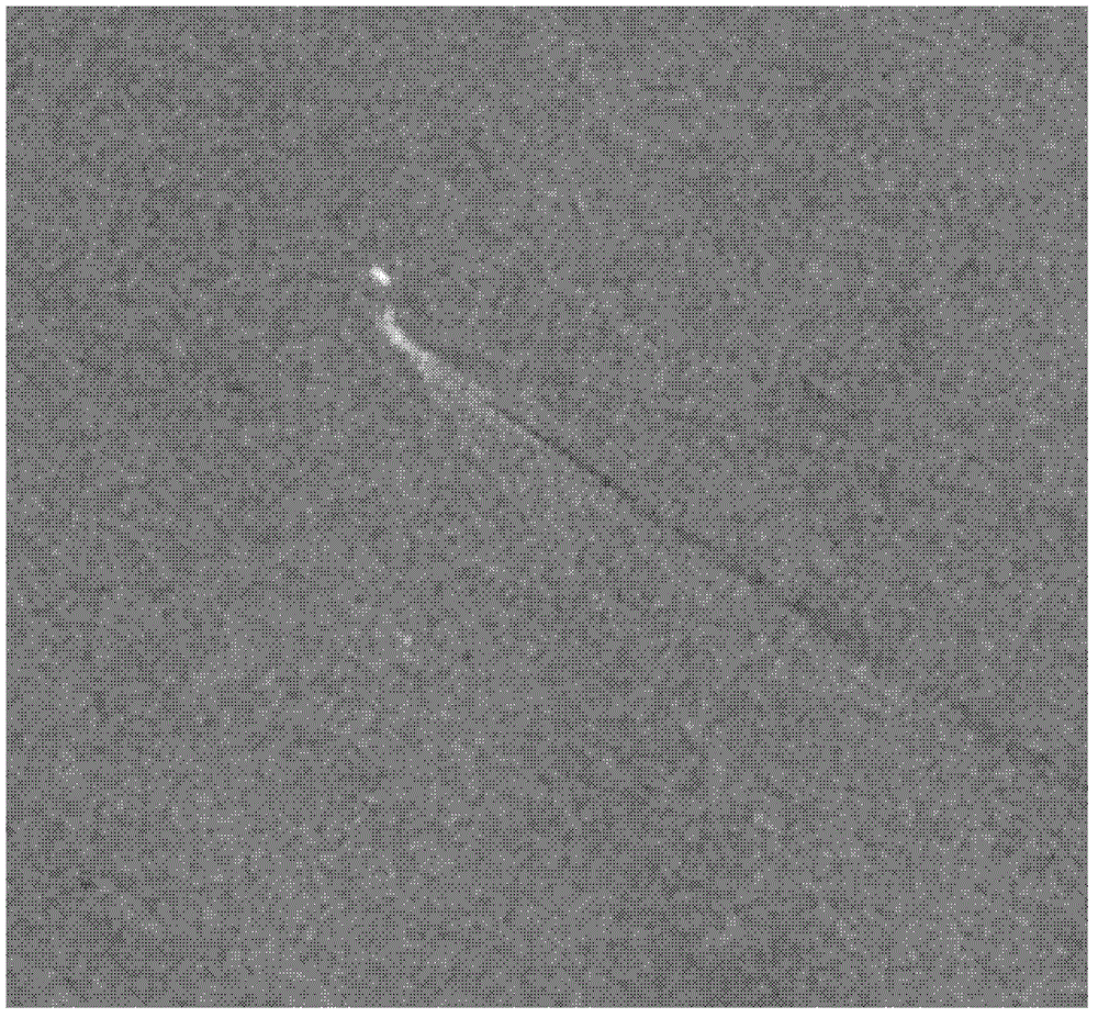 Method for detecting ship trail of ocean synthetic aperture radar image