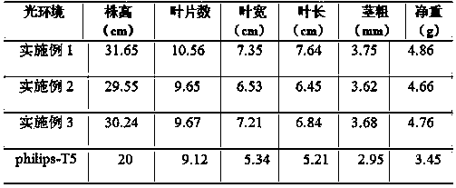 Tobacco cultivation method based on light environment