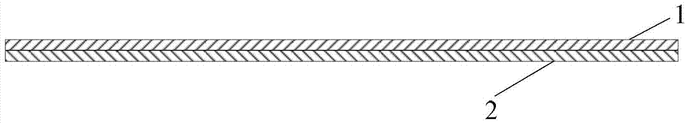 Composite tissue engineering skin containing live cells and preparation method for composite tissue engineering skin