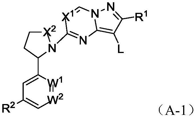 Heteroaryl fused ring compound as well as preparation method and application thereof