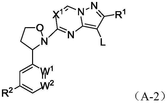 Heteroaryl fused ring compound as well as preparation method and application thereof