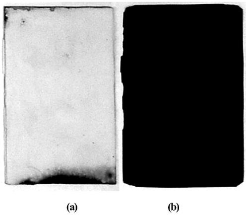 A kind of high temperature resistant graphene/vinyl resin anticorrosion coating and preparation method thereof