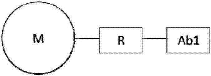 Flow-type detection reagent for detecting InhibinB content and preparation method and application thereof