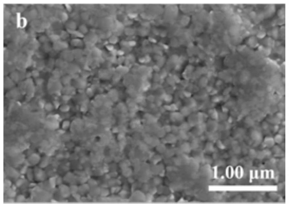 Perovskite light absorption layer film and surface defect passivation method thereof