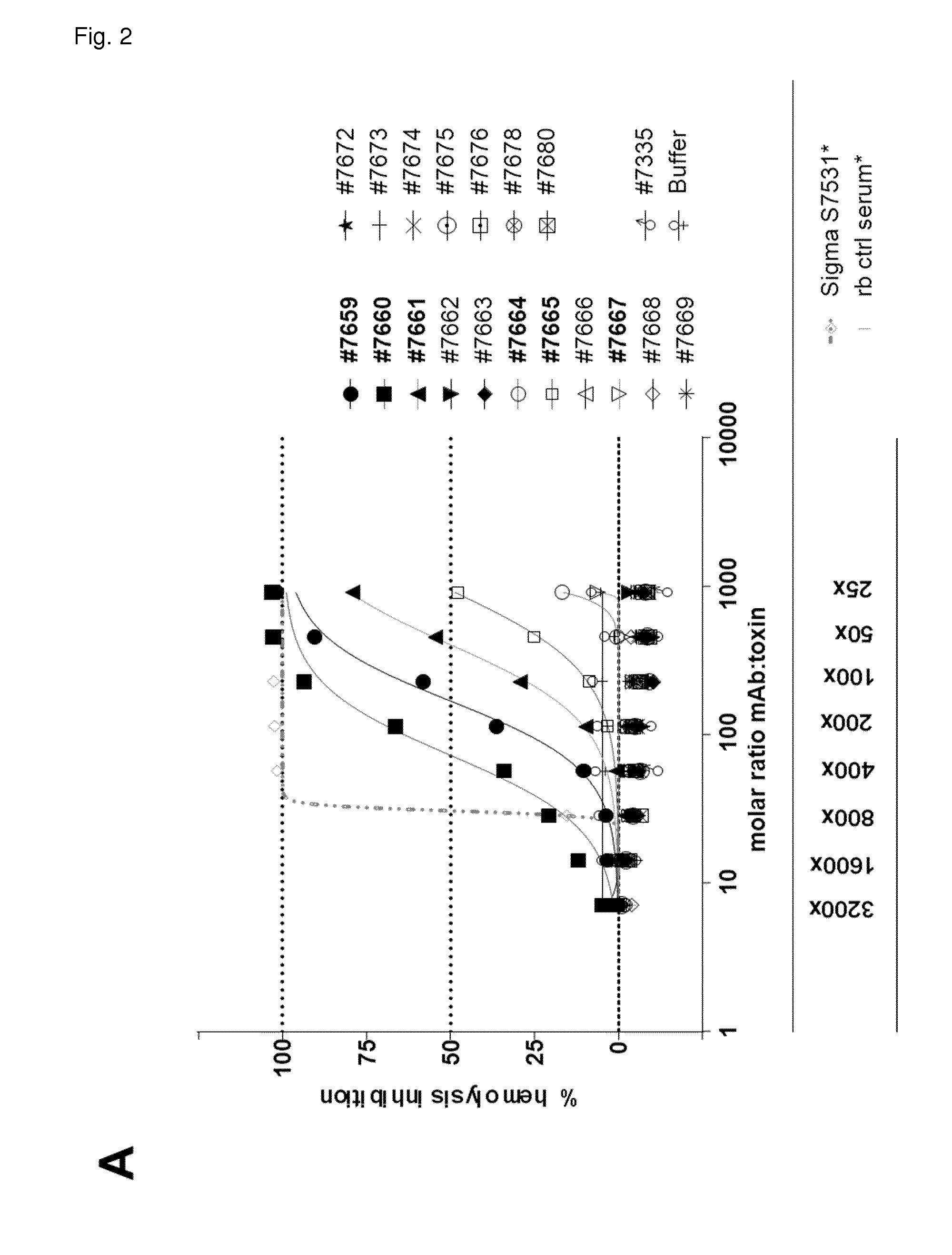 Cross-reactive staphylococcus aureus antibody