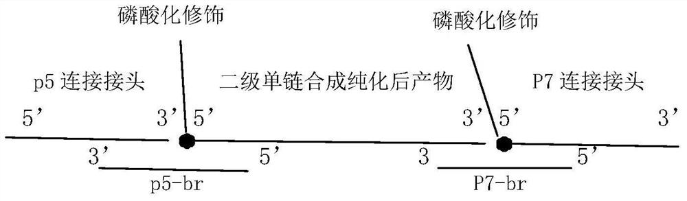 Quantitative detection method of mutant gene