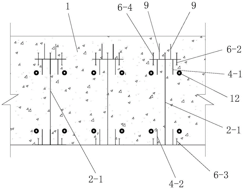 A kind of structure of steel-concrete joint section of steel beam insertion type mixed beam