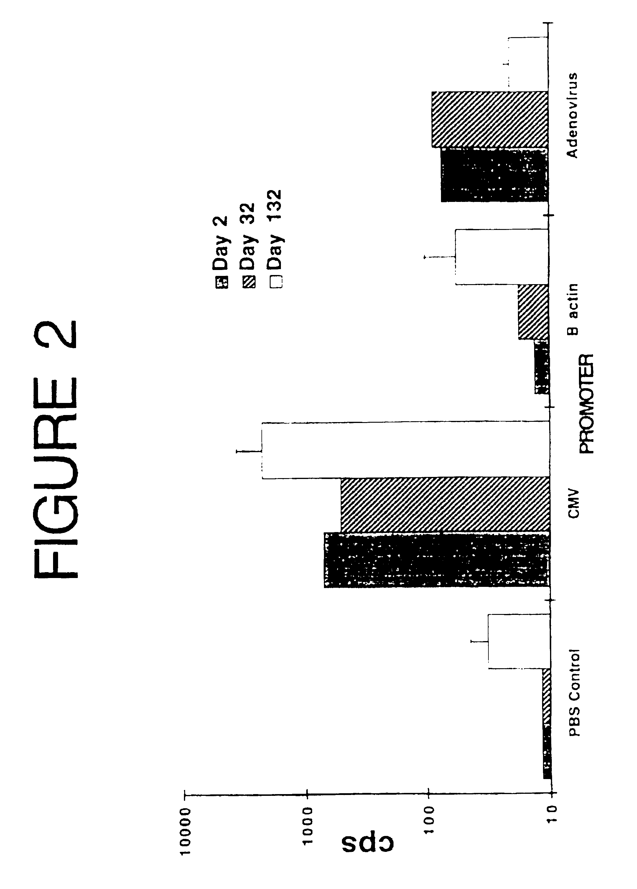 Plasmid-based vaccine for treating atherosclerosis